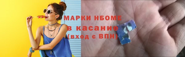 индика Весьегонск