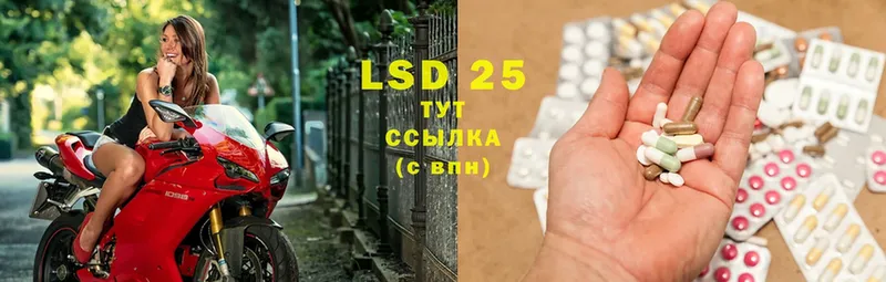 LSD-25 экстази кислота  blacksprut как войти  Горно-Алтайск 