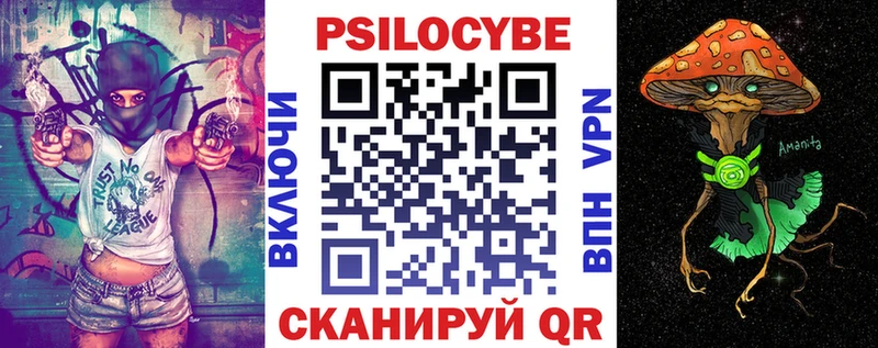 даркнет телеграм  OMG   Горно-Алтайск  Галлюциногенные грибы Psilocybe 