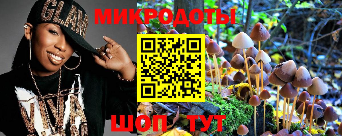 Галлюциногенные грибы Psilocybine cubensis Горно-Алтайск