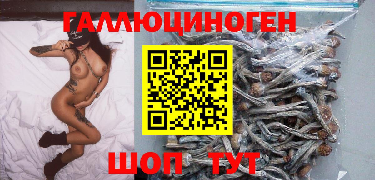 Галлюциногенные грибы прущие грибы Горно-Алтайск