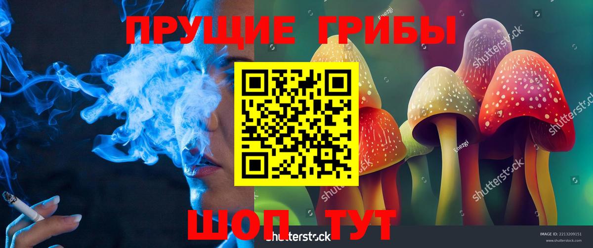 Горно-Алтайск  Псилоцибиновые грибы мицелий  Вход с VPN 