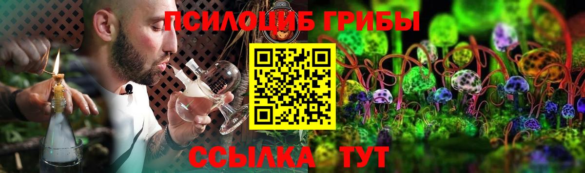 Галлюциногенные грибы MAGIC MUSHROOMS  даркнет сайт  Горно-Алтайск 